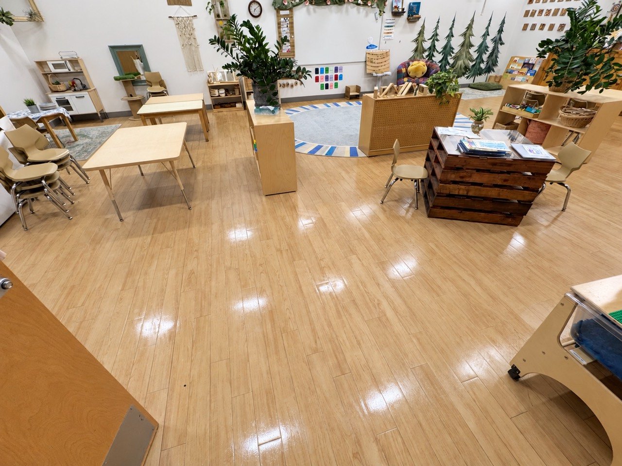 Classroom with a reflective wood-look floor, tables, shelves, and a round area rug